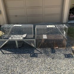 Four Live Traps
