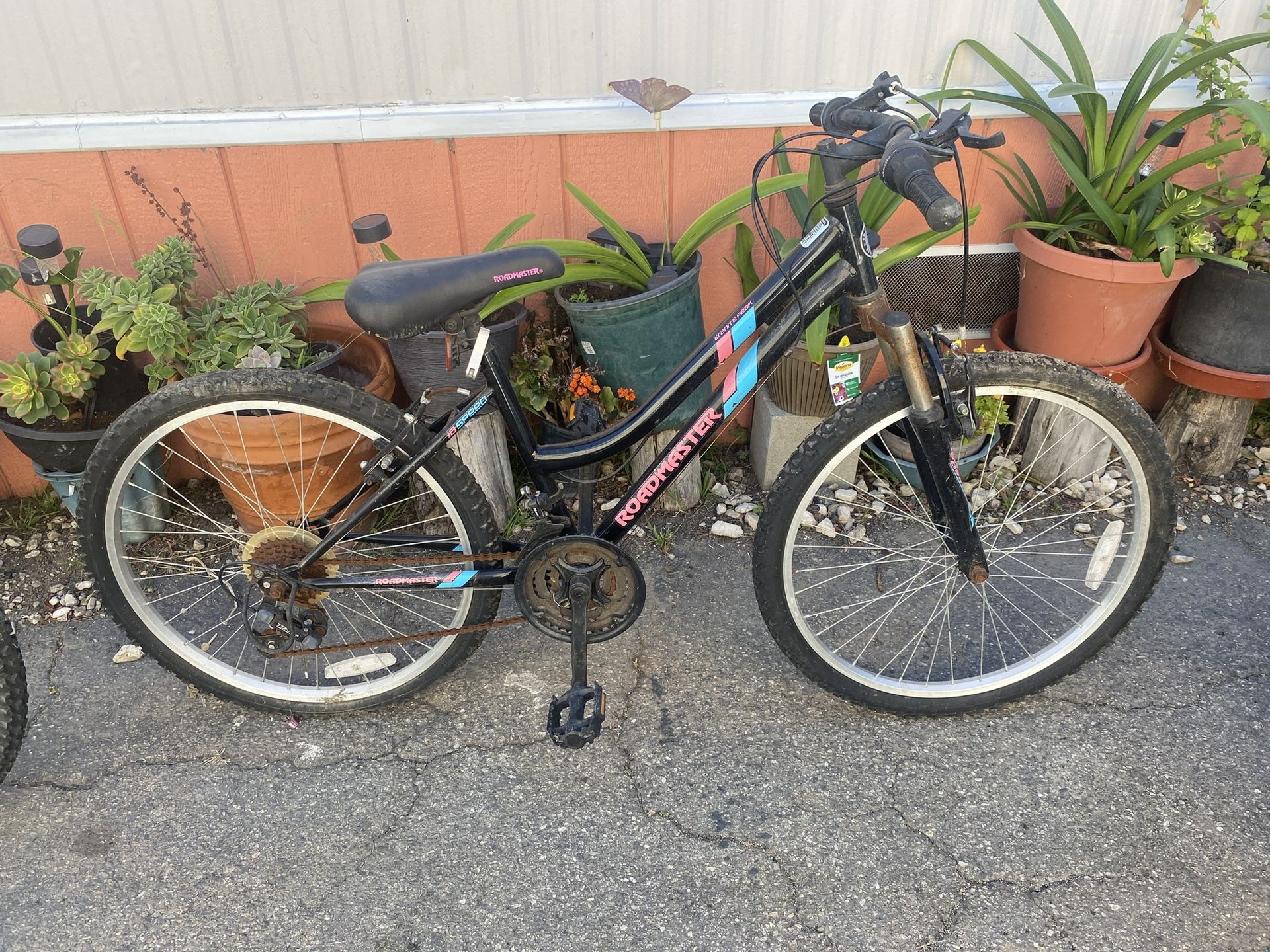 Mountain Bike 24”