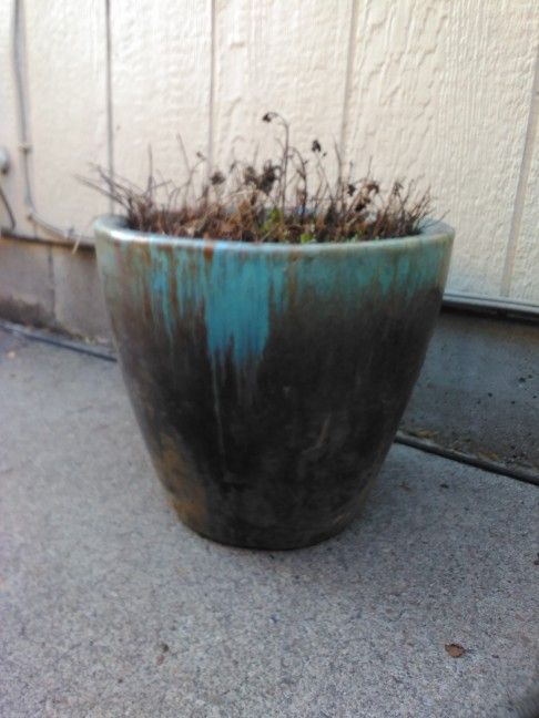Flower Pot