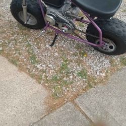 212 Predator Cc Engine Coleman Bike 