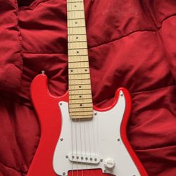 Eleectric Guitar (Comes with Gig Bag)