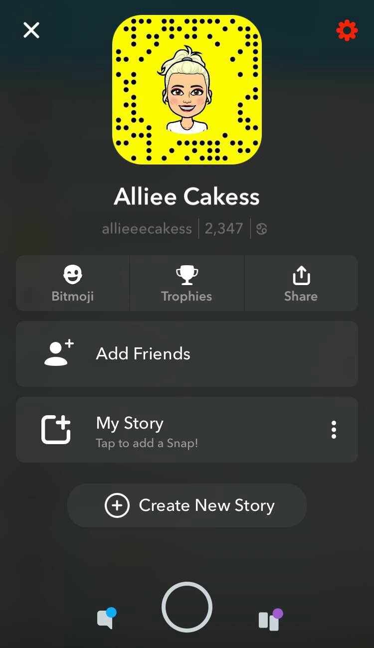 Snapchat premium!