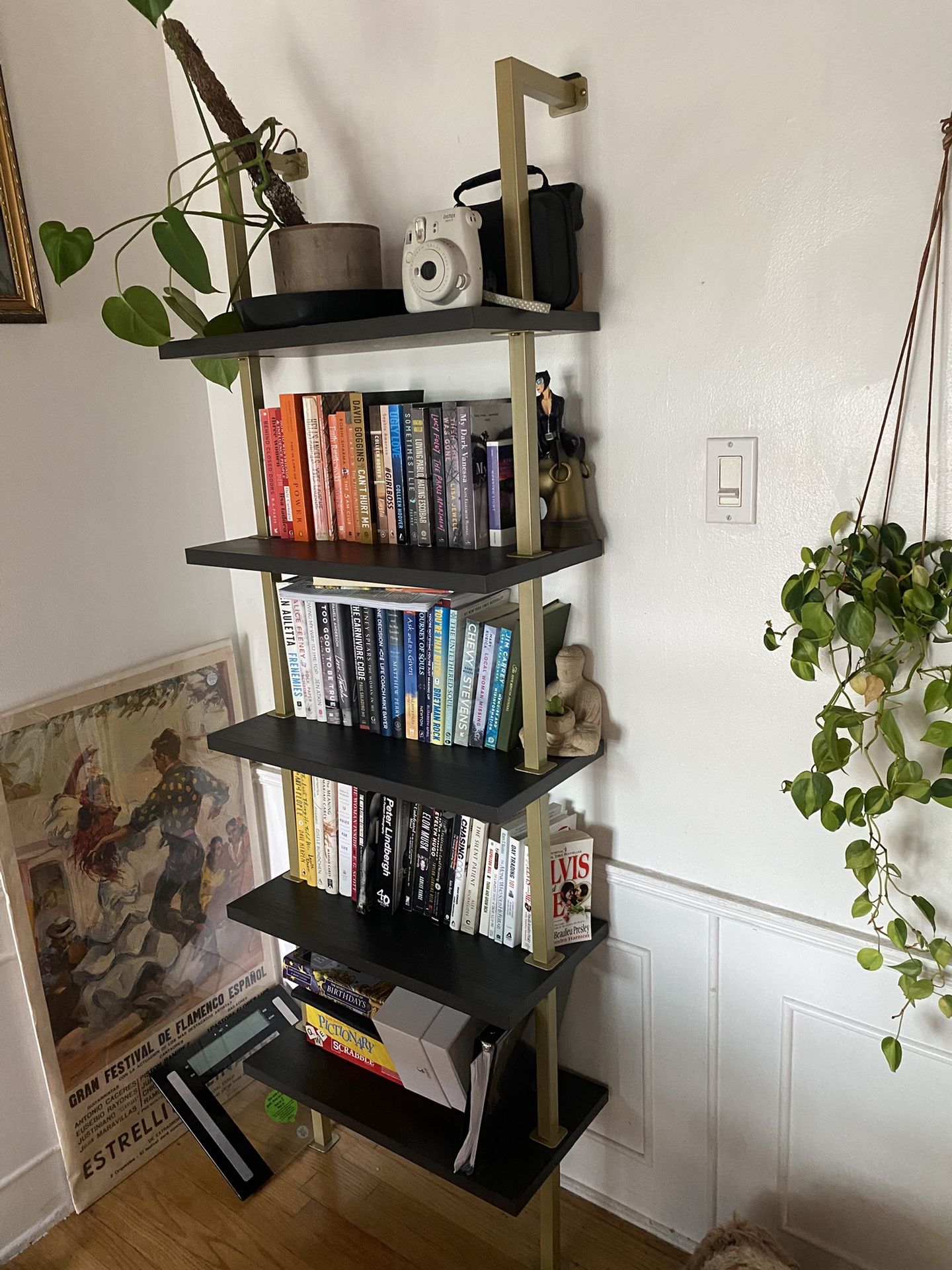 5 Shelf Ladder bookshelf