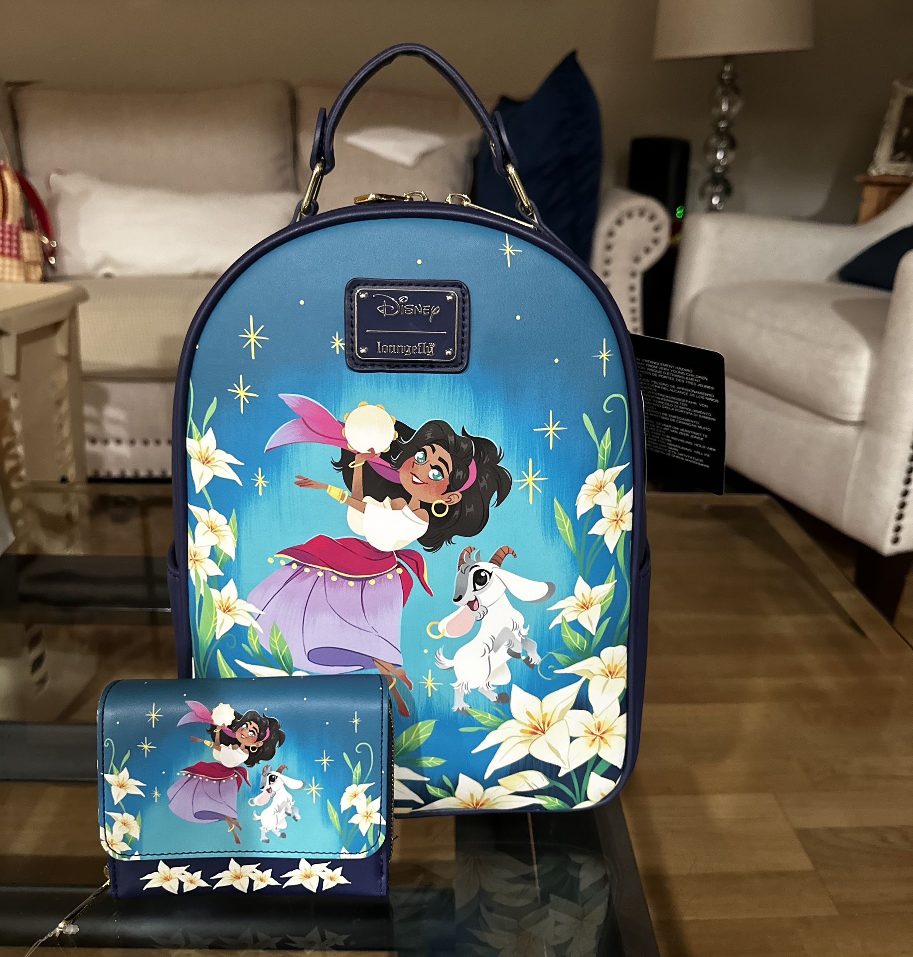 Disney Lounge Fly Bag & Wallet