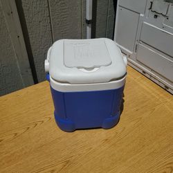 Small  Ice Chest Cooler By IGloo  I ASK $15.00