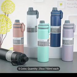 25oz Stainless Steel Insulated Water Bottle 