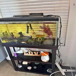 heavy develop Complete Aquarium Kit – Discover an Underwater World