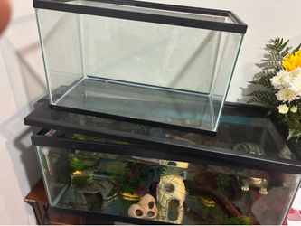 Fish Tank