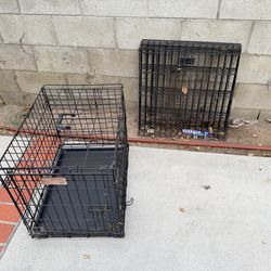 Free dog kennel and dog pin
