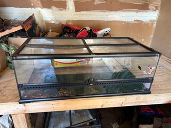 Gecko tank
