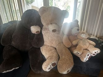 Set Of Bears