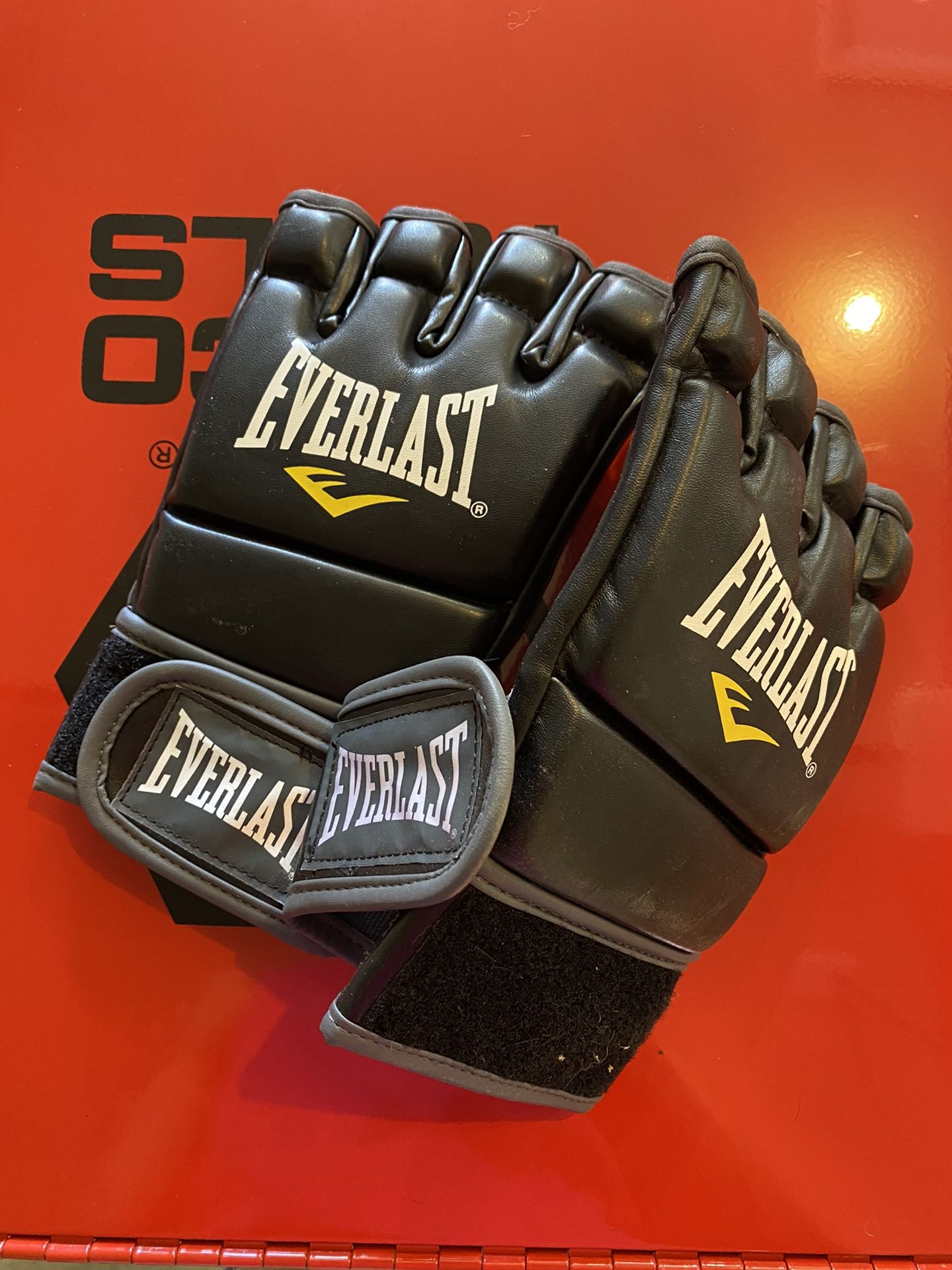Professional Everlast UFC Gloves 