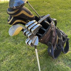 Cobra Ping Cleveland Ogio Men’s Golf Set