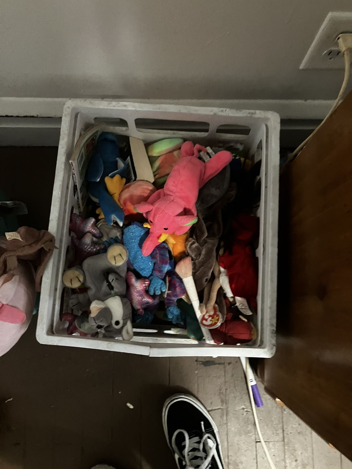 Tom’s Of Beanie Babies