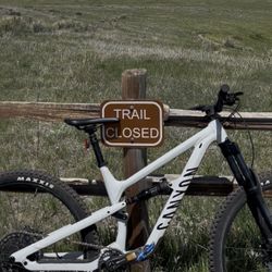 Canyon spectral - Stolen