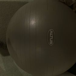 Large Exercise Ball 