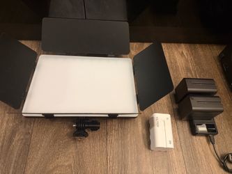 Barn door LED light