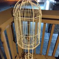 Bird Cage $15