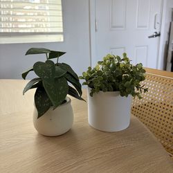 Fake plantsdecor (2)