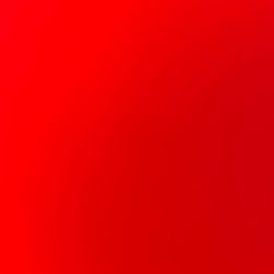 I’ll Cut Your Mesquite For Free