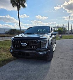 Ford F150 platinum (2023)