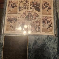 1995 49ers Vs Chargers Super Bowl  & 1998 Vikings Season Plaques