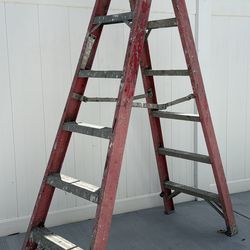 Twin Step 6 ft. Ladder Heavy Duty