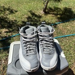 Jordan 12