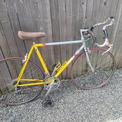 1988 vintage Raleigh Scott Tinley Tri-lite technium triathlon bicycle 55cm 22 in

