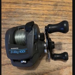 Bantam Shimano B-Mag 1001 Magnetic Control Ball Bearings System Fishing Spin Reel Graphite Professional Components High Quality