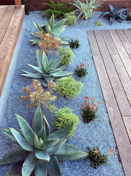 Plant Landscape Design