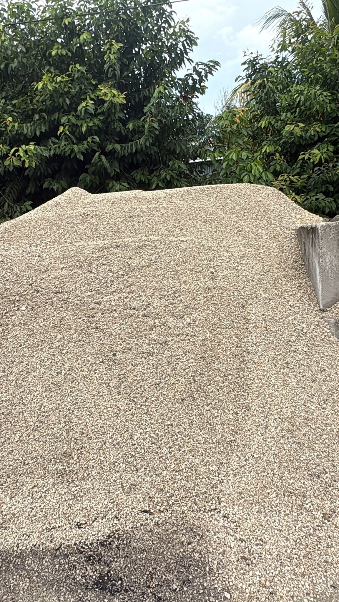 Pea Rock - Yard