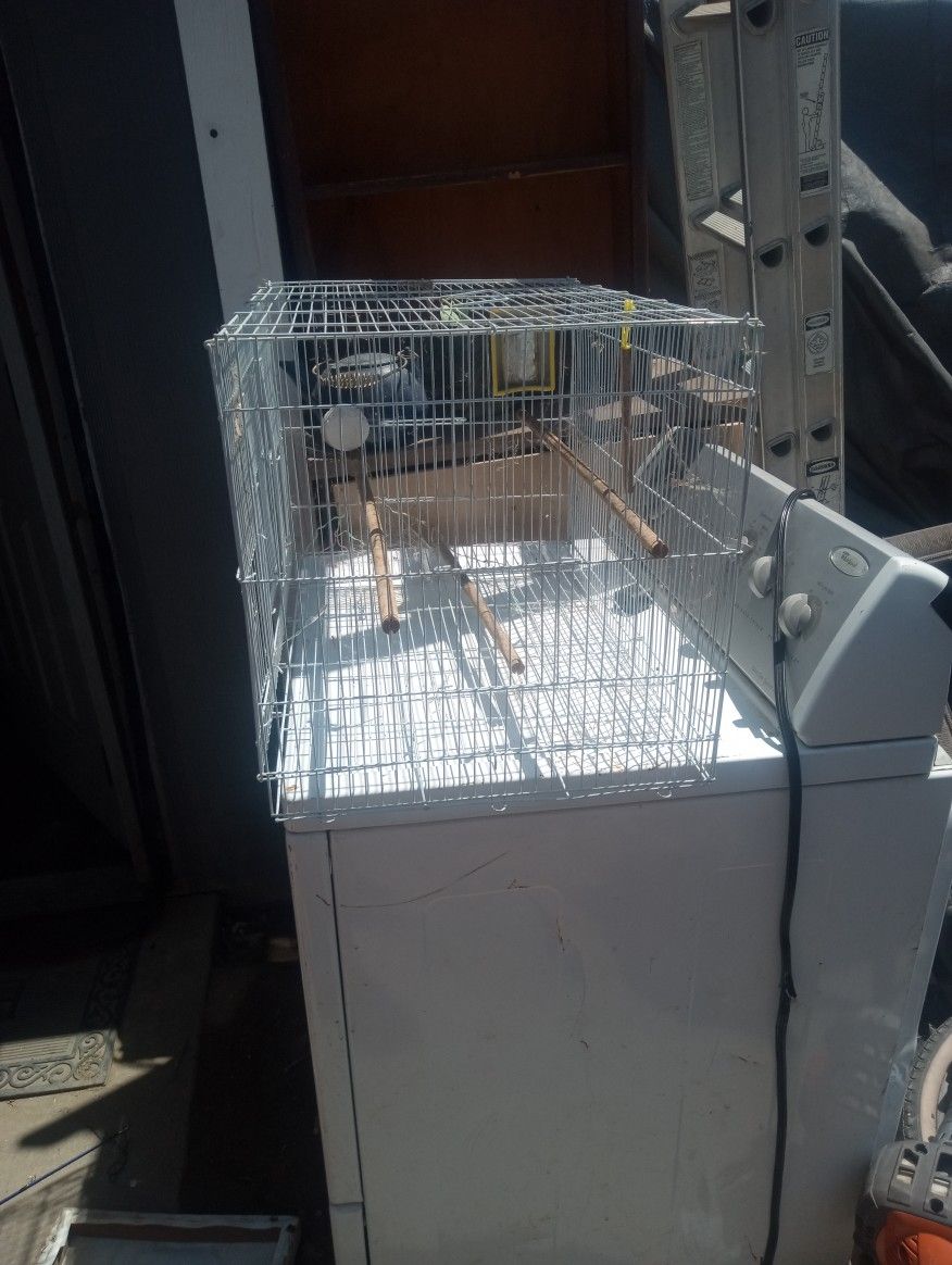 Bird Cage
