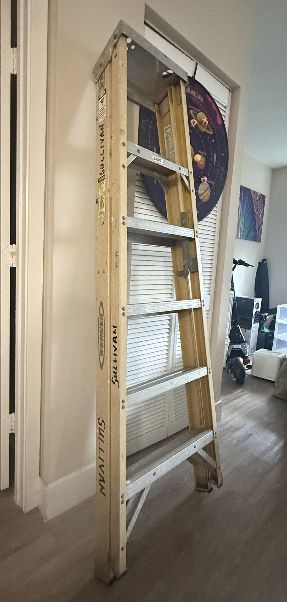 Werner 6ft Ladder