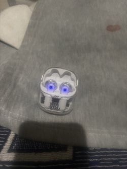 Earbuds