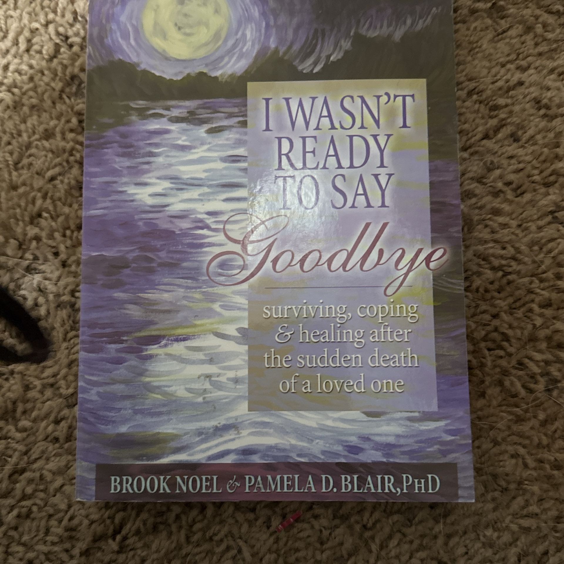 I Wasn’t Ready To Say goodbye