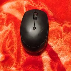 Mouse