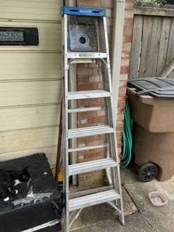 Werner aluminum ladder