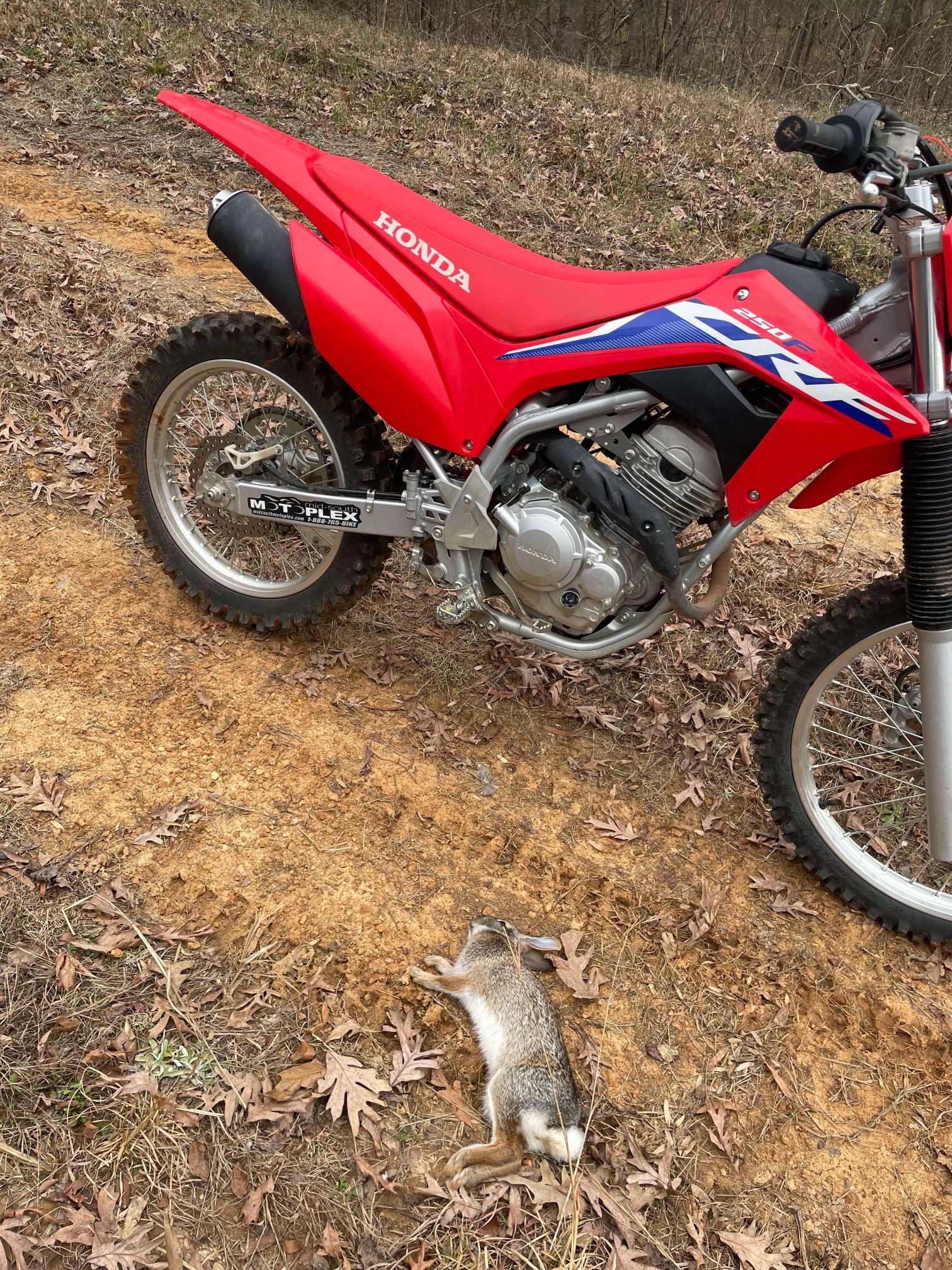 2024 honda crf250f