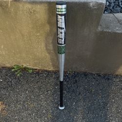 Easton Youth Baseball Bat 31in