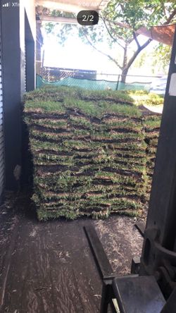 Sod