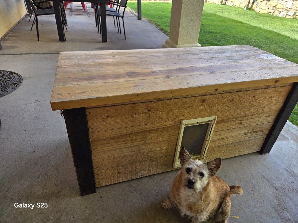 Dog House
