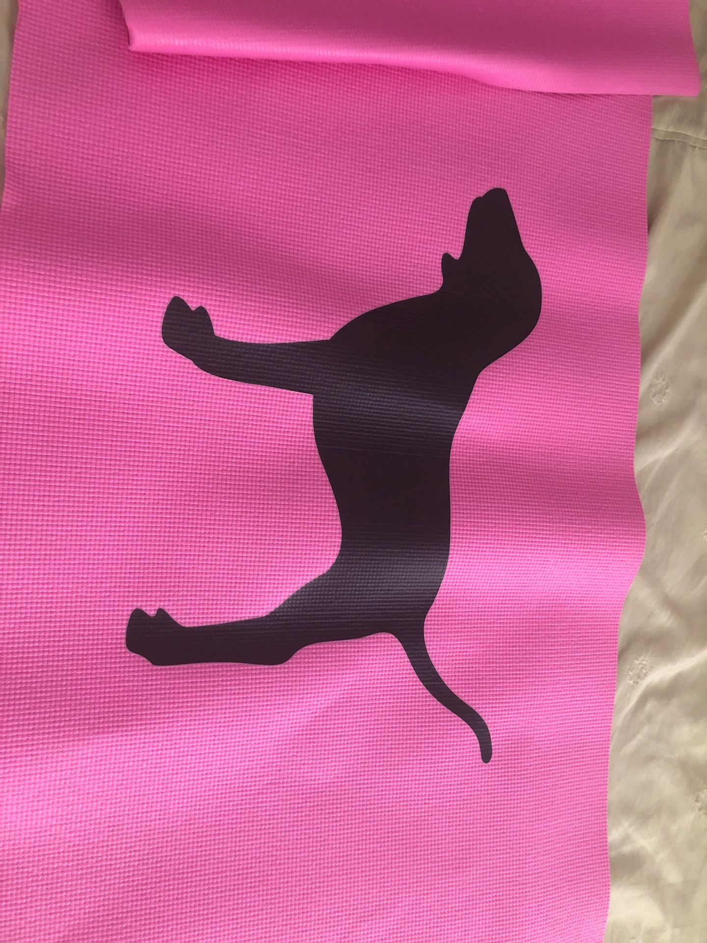 Black Labrador Retriever dog print Yoga exercise mat