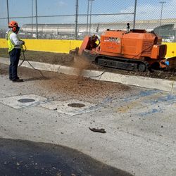 Stump Grinding moledora troncos y raises.