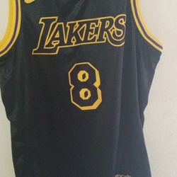 Kobe N LeBron Nike Jersey 