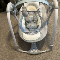 Ingenuity Infant Swing