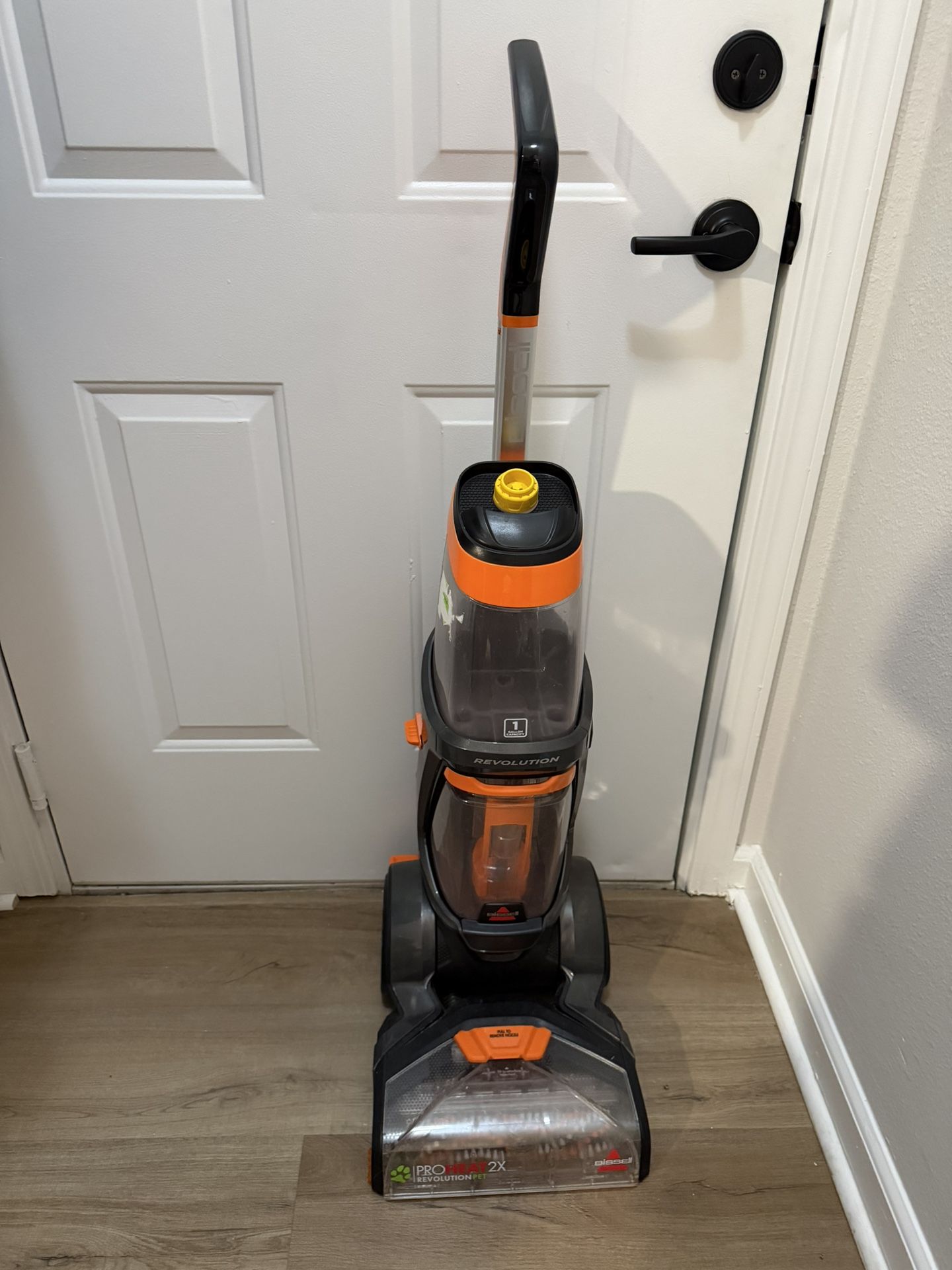Carpet Cleaner