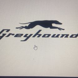 Greyhound Bus Ticket Worth 300$