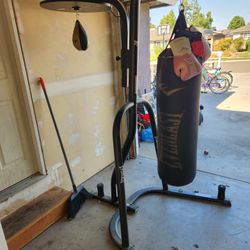 Punching and Speed Bag