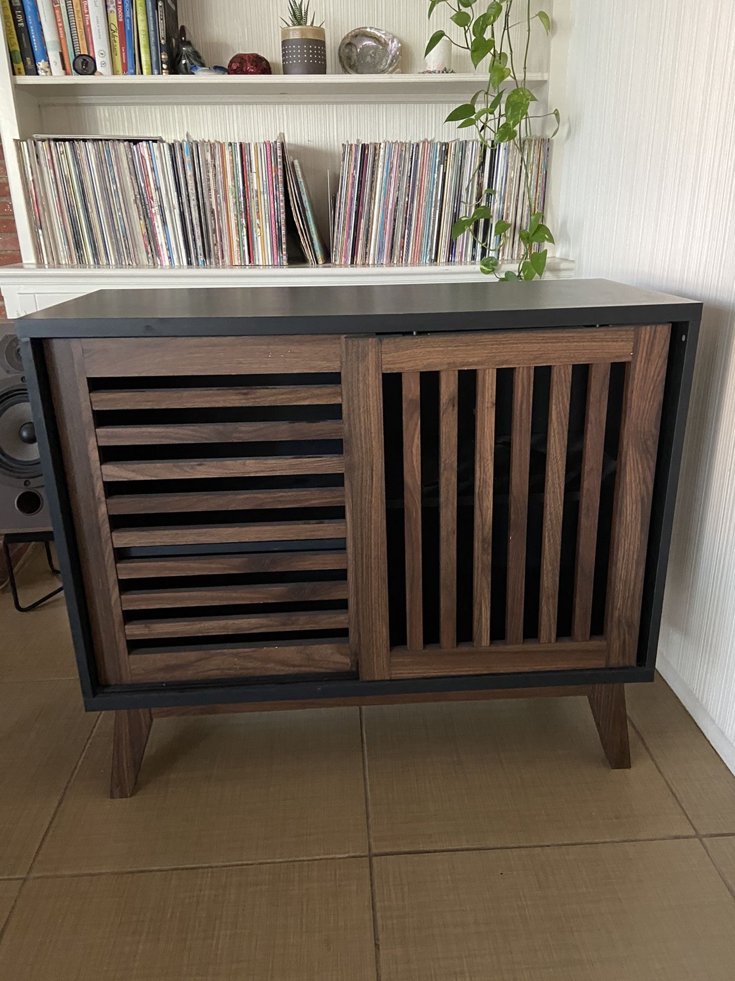 Modern Media Console with Sliding Doors